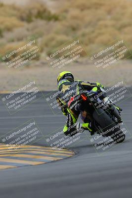 media/Jan-14-2023-SoCal Trackdays (Sat) [[497694156f]]/Turn 12 Backside (1010am)/